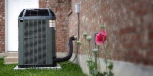 Black air conditioning unit in back yard with rose in foreground